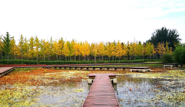 羊口镇旅游景点