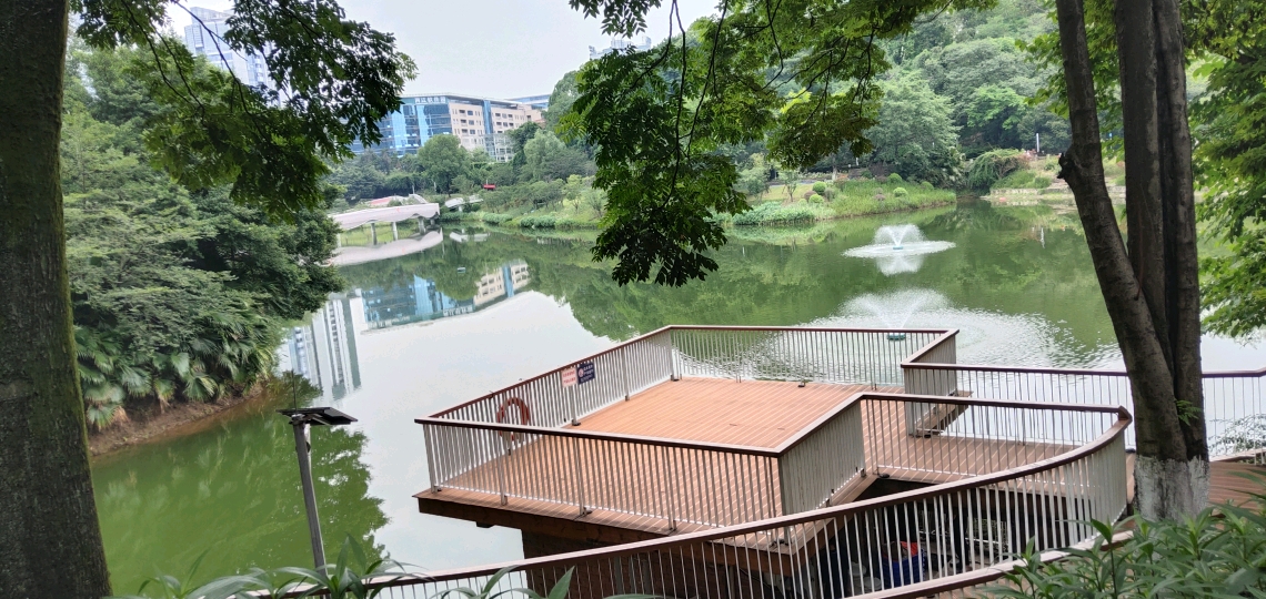 走进重庆两江新区百林公园,感受城市园林景观特色