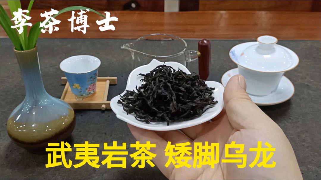 武夷岩茶“矮脚乌龙”的简单介绍!