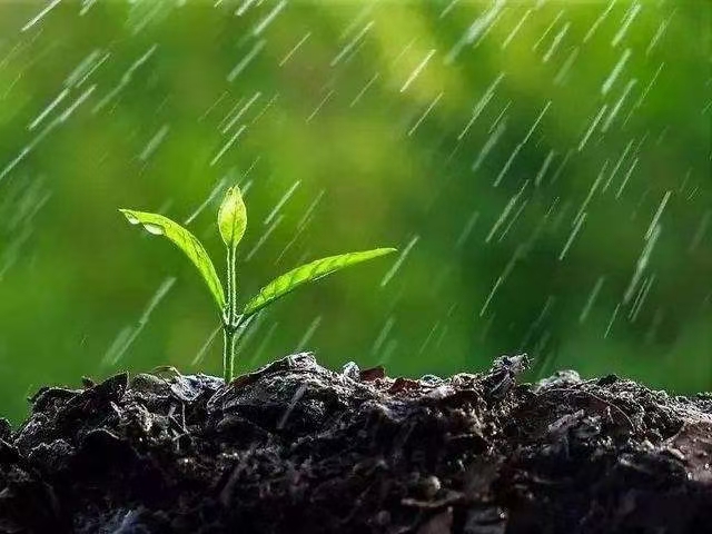 最美春雨图片图片