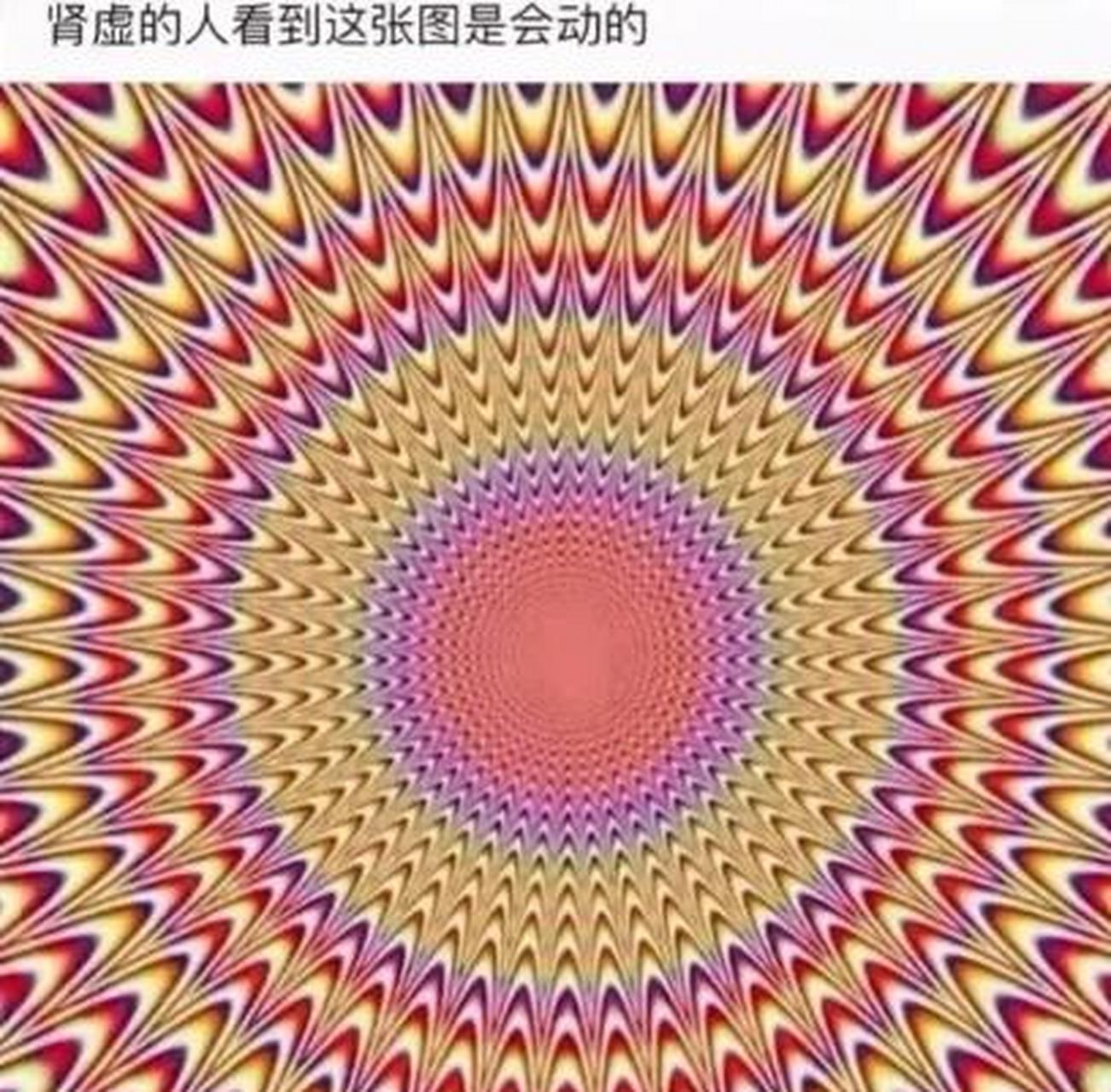 肾虚图片测试图片