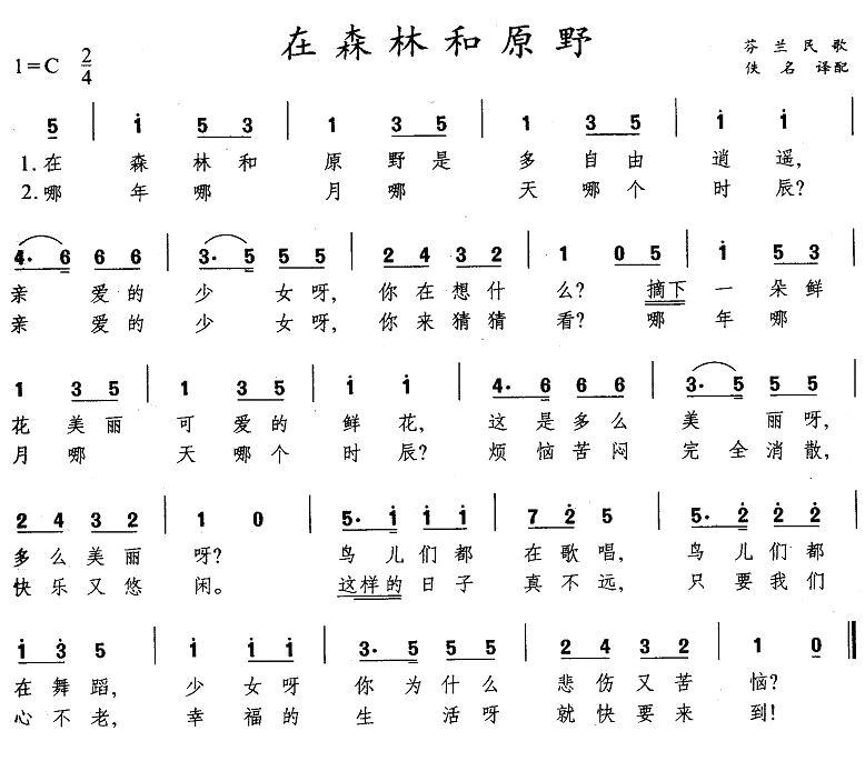 热带雨林歌曲(热带雨林歌曲歌词)