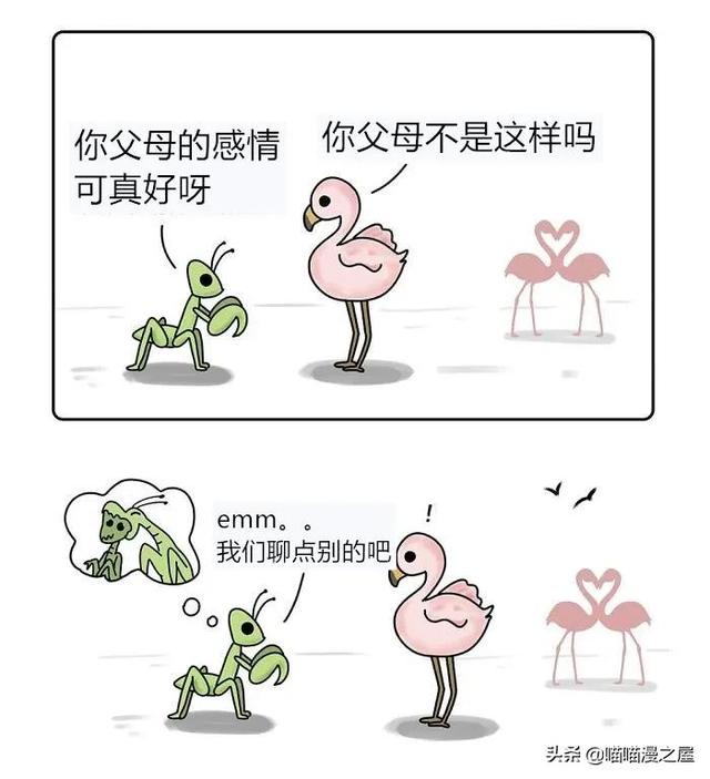 小漫画