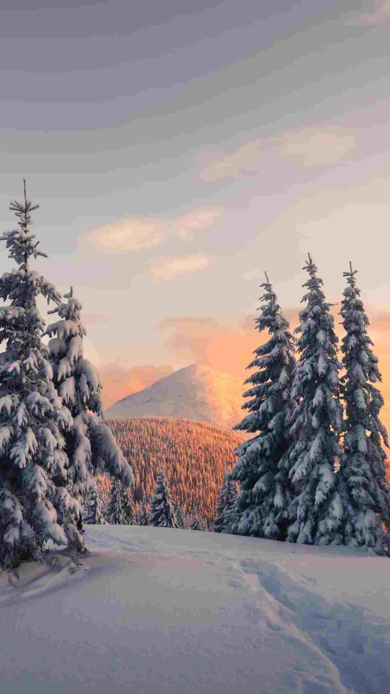 杂志锁屏壁纸更新