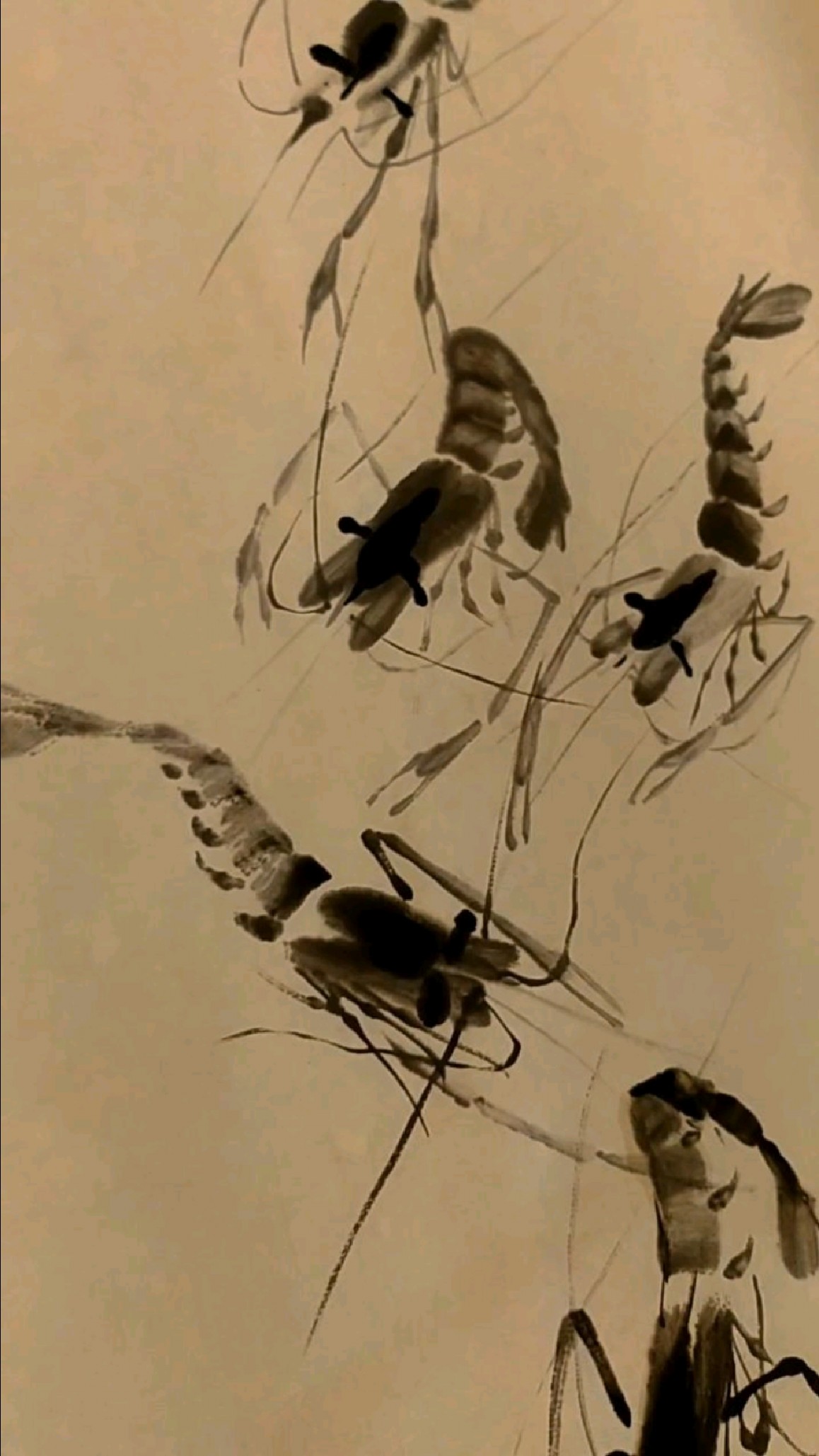 写意虾的画法《二零二》