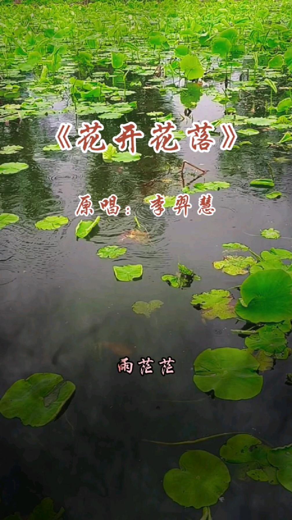 一首好听的经典老歌《花开花落》分享给大家!