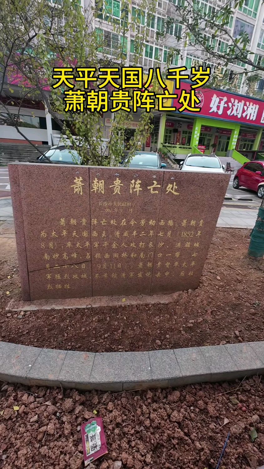 萧朝贵太平天国的三把手被称为"八千岁",最后却阵亡于长沙城!-度小视