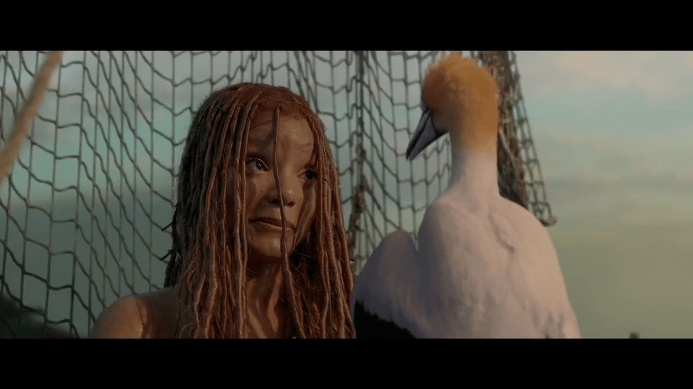 迪士尼的黑人版《小美人鱼》会被引进来吗?