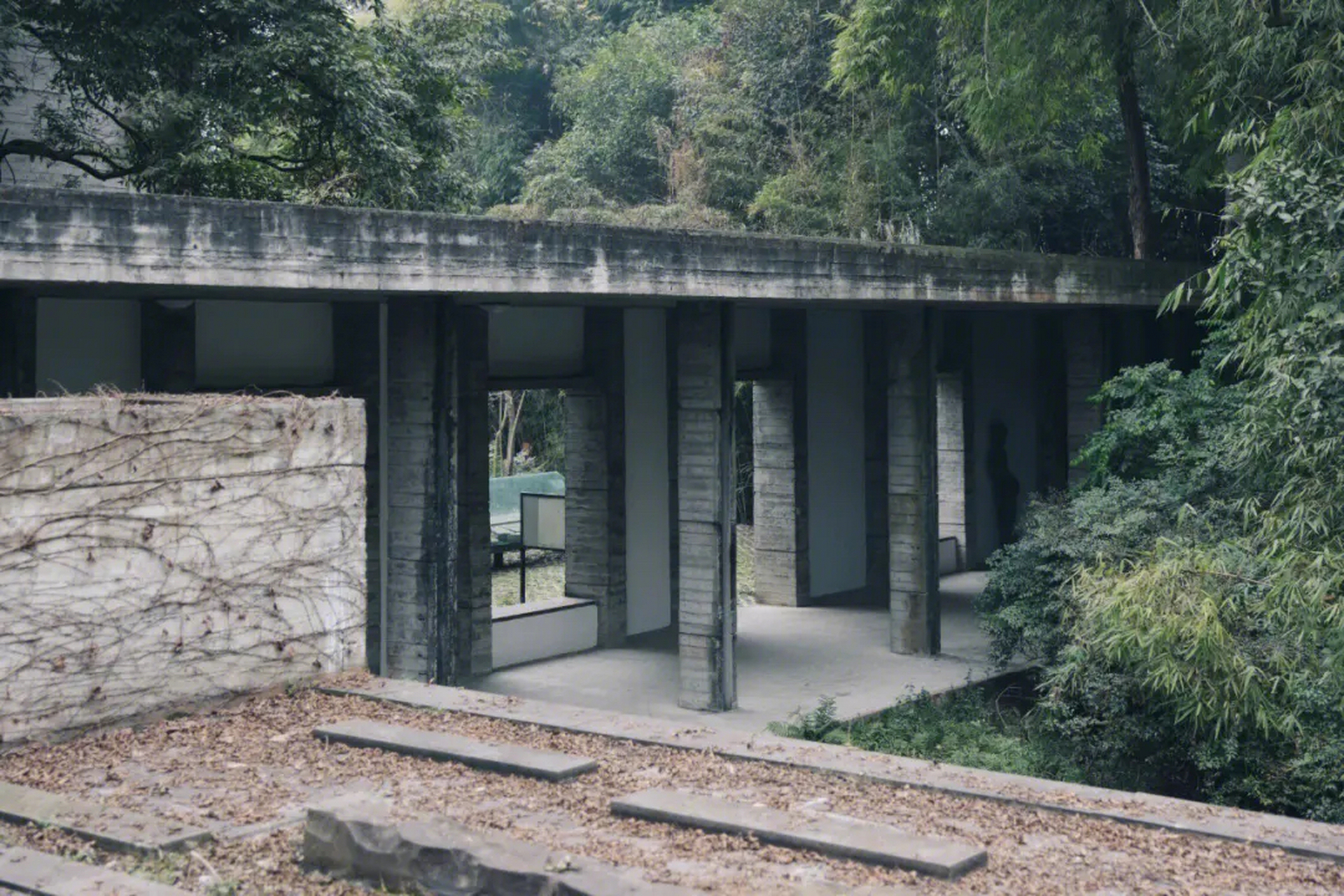 未来美学看郫都# 成都郫都鹿野苑博物馆,隐藏在成都郫都区唐昌镇的