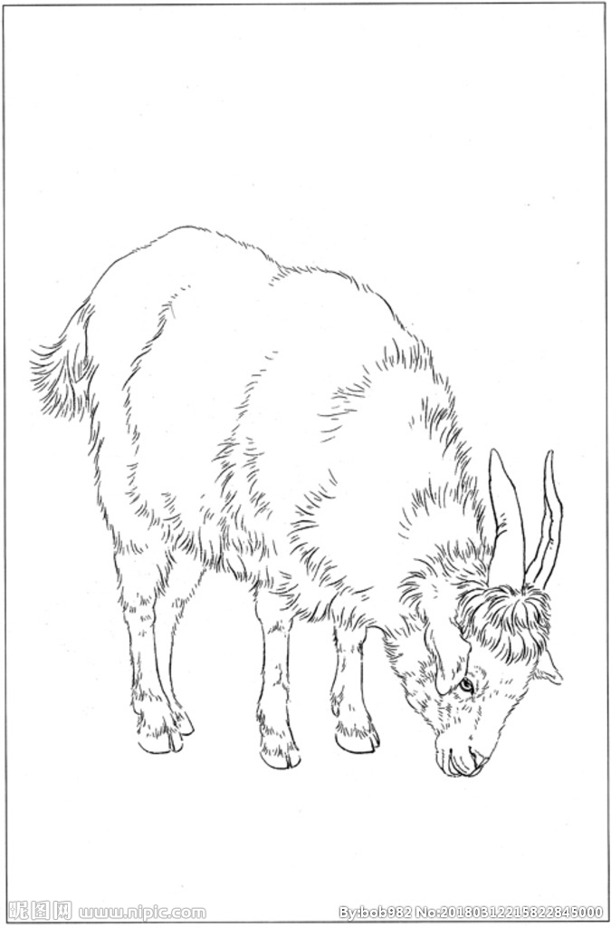 零基础学画山羊,几步就能轻松拿捏!