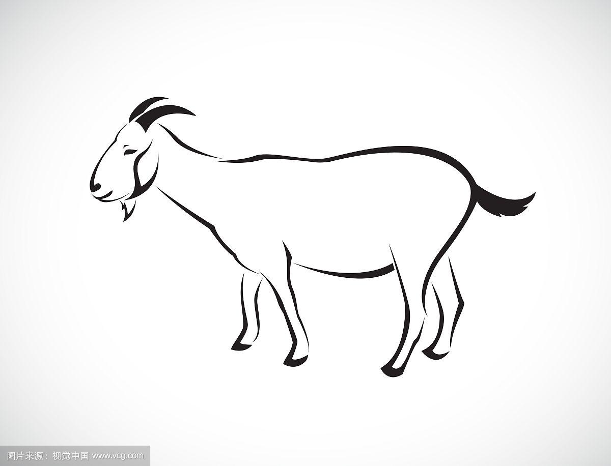 山羊怎么画