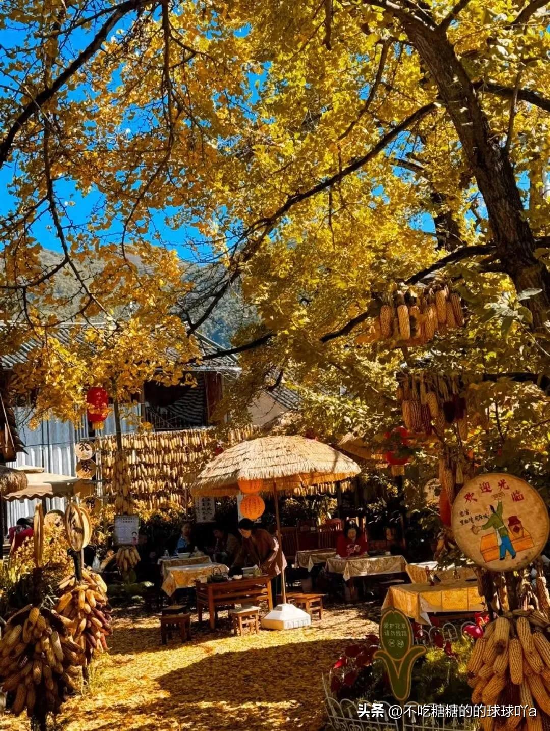 交通:可乘飞机至腾冲驼峰机场,或高铁至保山后转客车