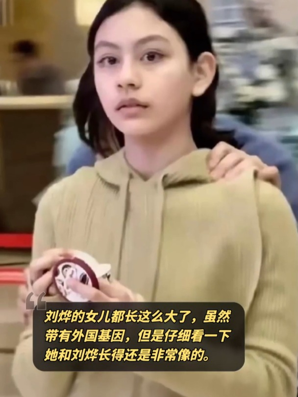 刘烨女儿图片