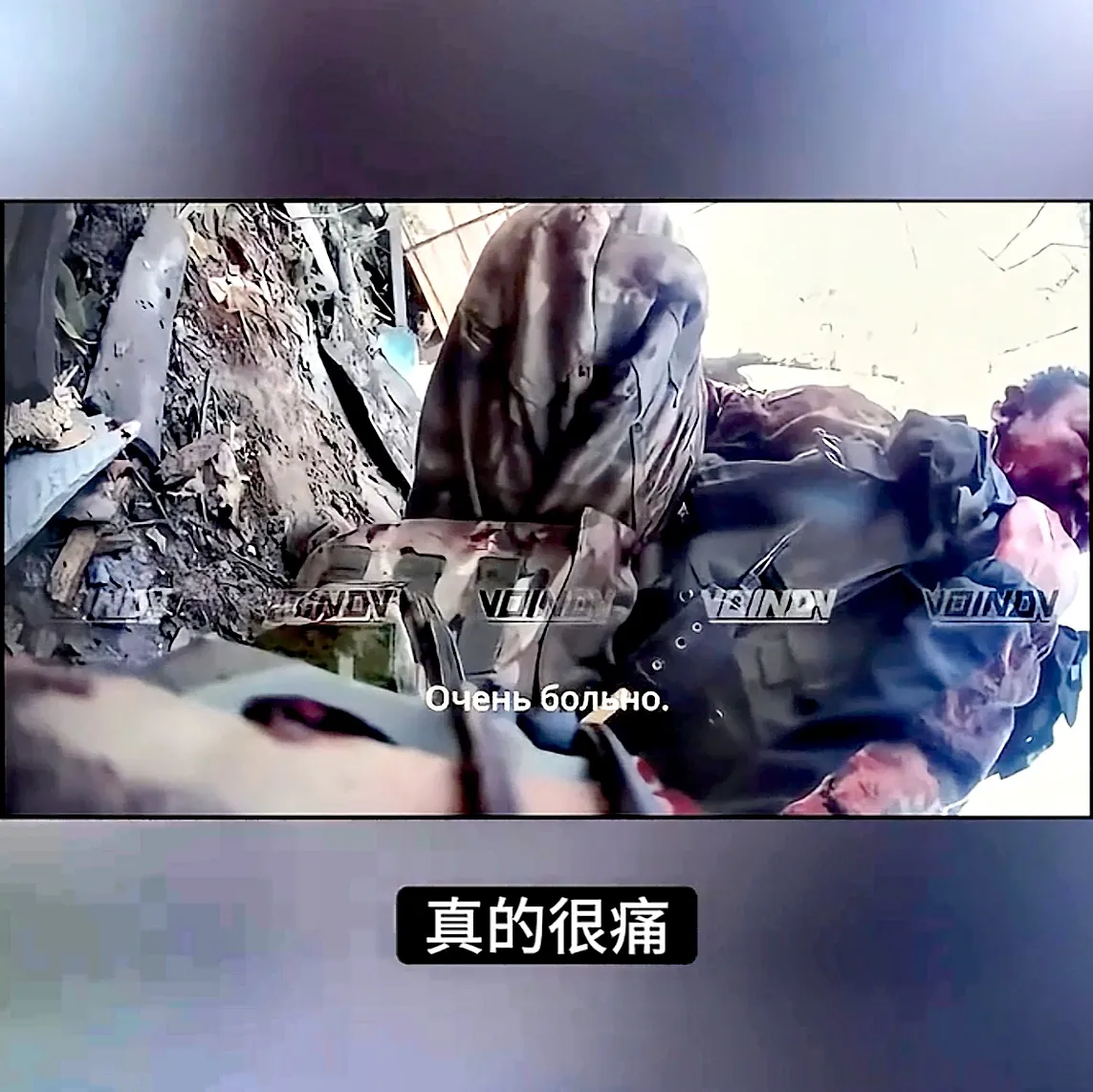 可这个乌兵却记录下自己最后的悲惨!