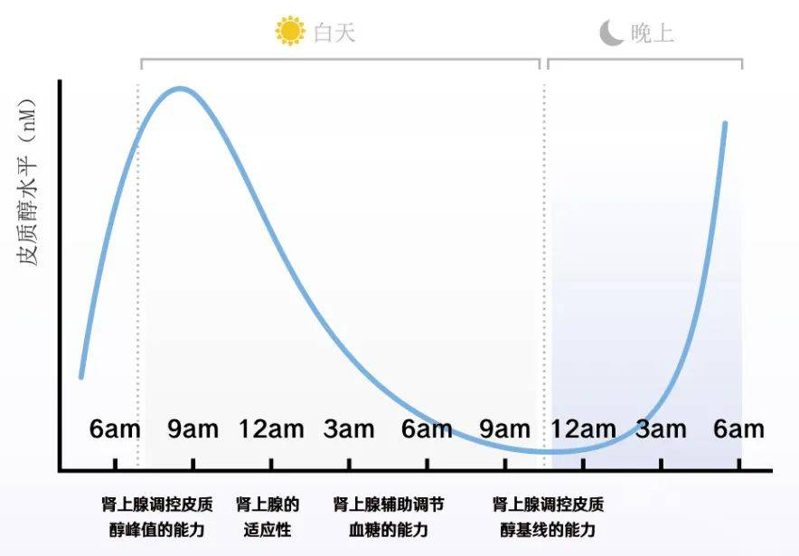 什么样的睡眠是好睡眠?如何营造一个好的睡眠环境?