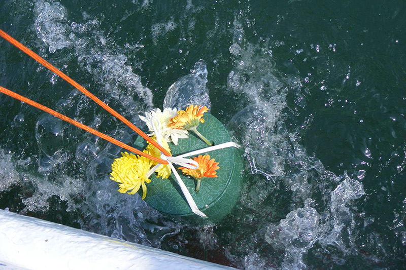 回顾:将骨灰撒海里,为何部分海葬贵达上万?免费海葬还要排队?