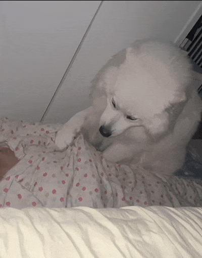 400_510竖版 竖屏gif 动态图 动图