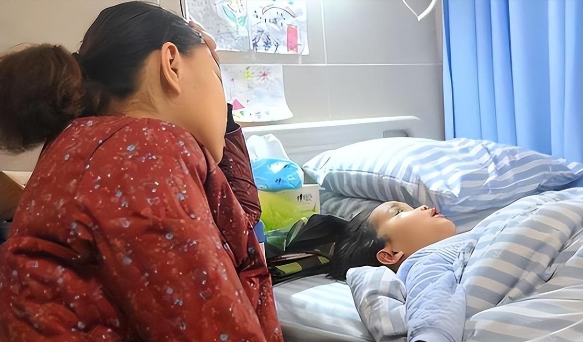 湖北妈妈和儿子的系列视频