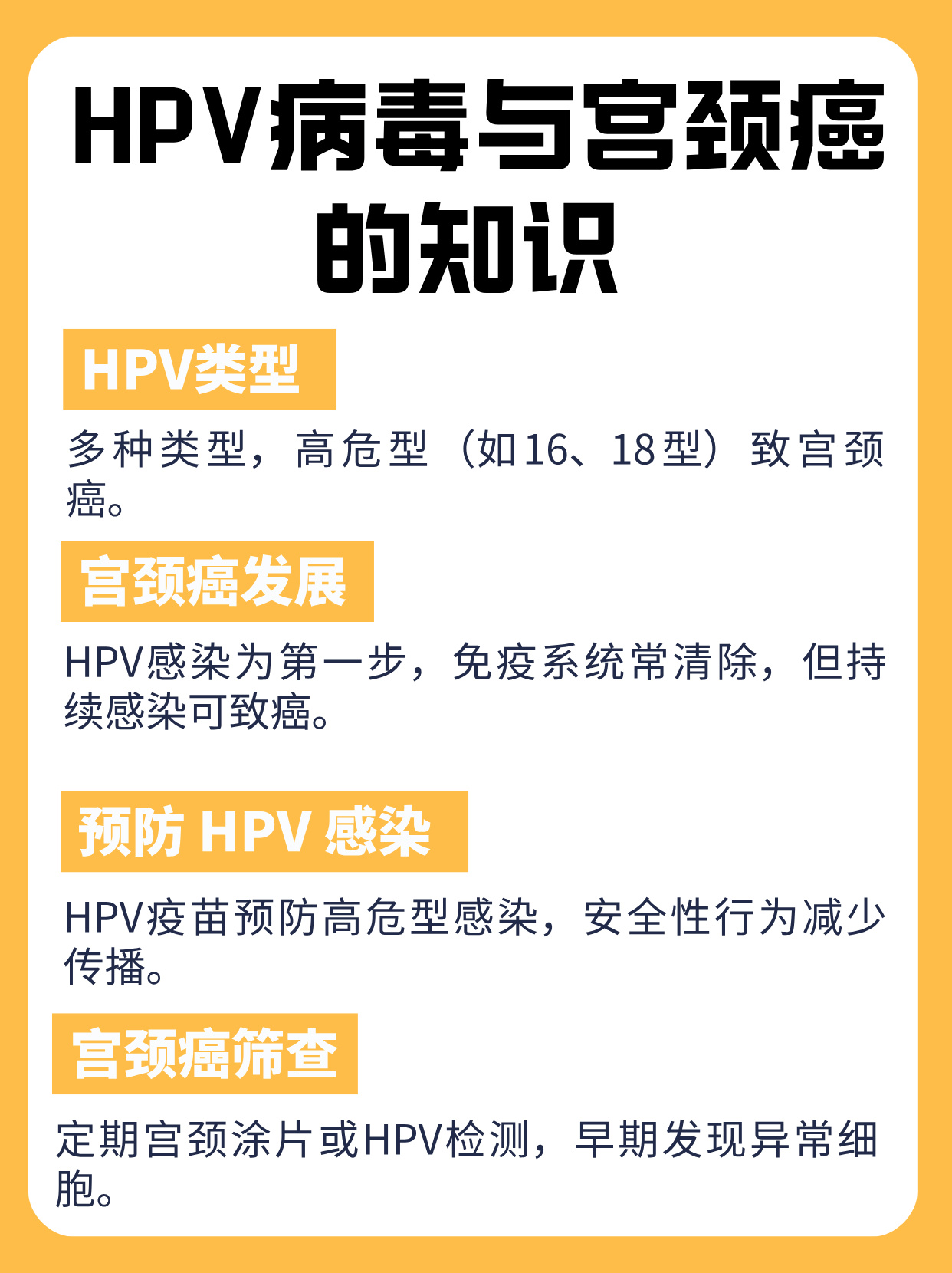 hpv病毒与宫颈癌:科学预防,守护你的"秘密花园"!