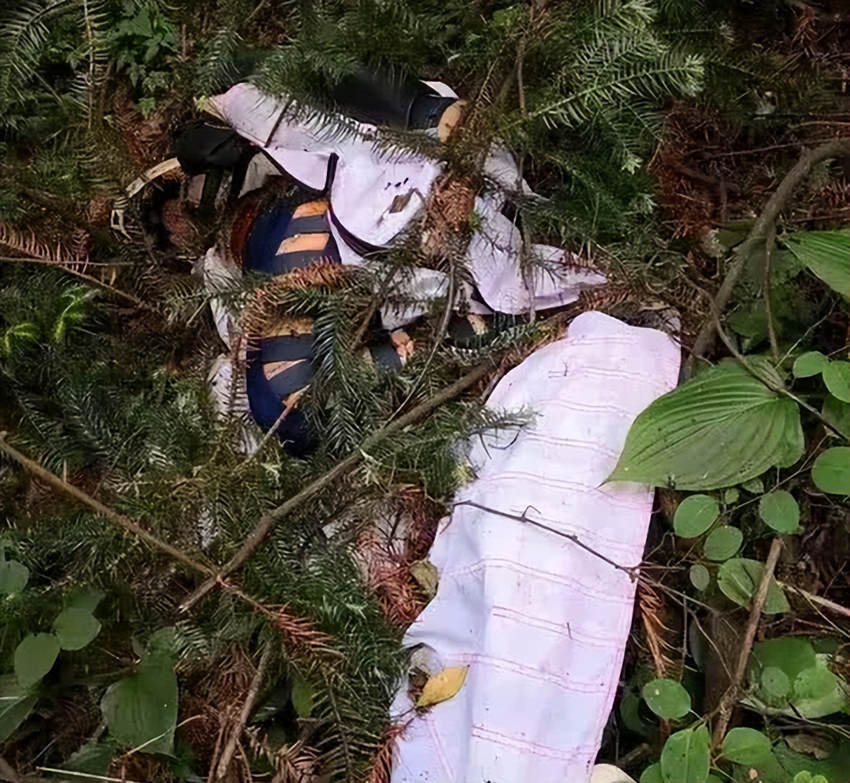 2020年,天津24岁女孩挑战翼装飞行去世,生前留下遗书:全部捐献