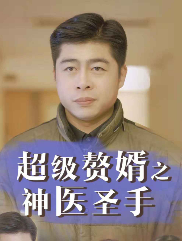 超级赘婿之神医圣手