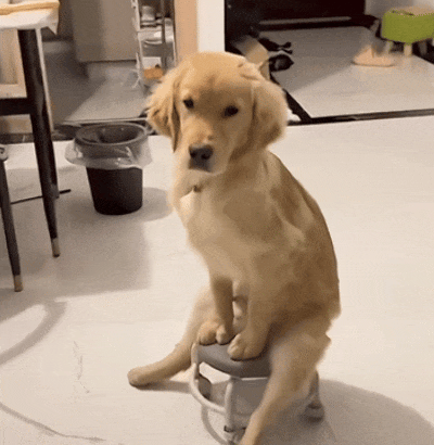 400_410gif 动态图 动图