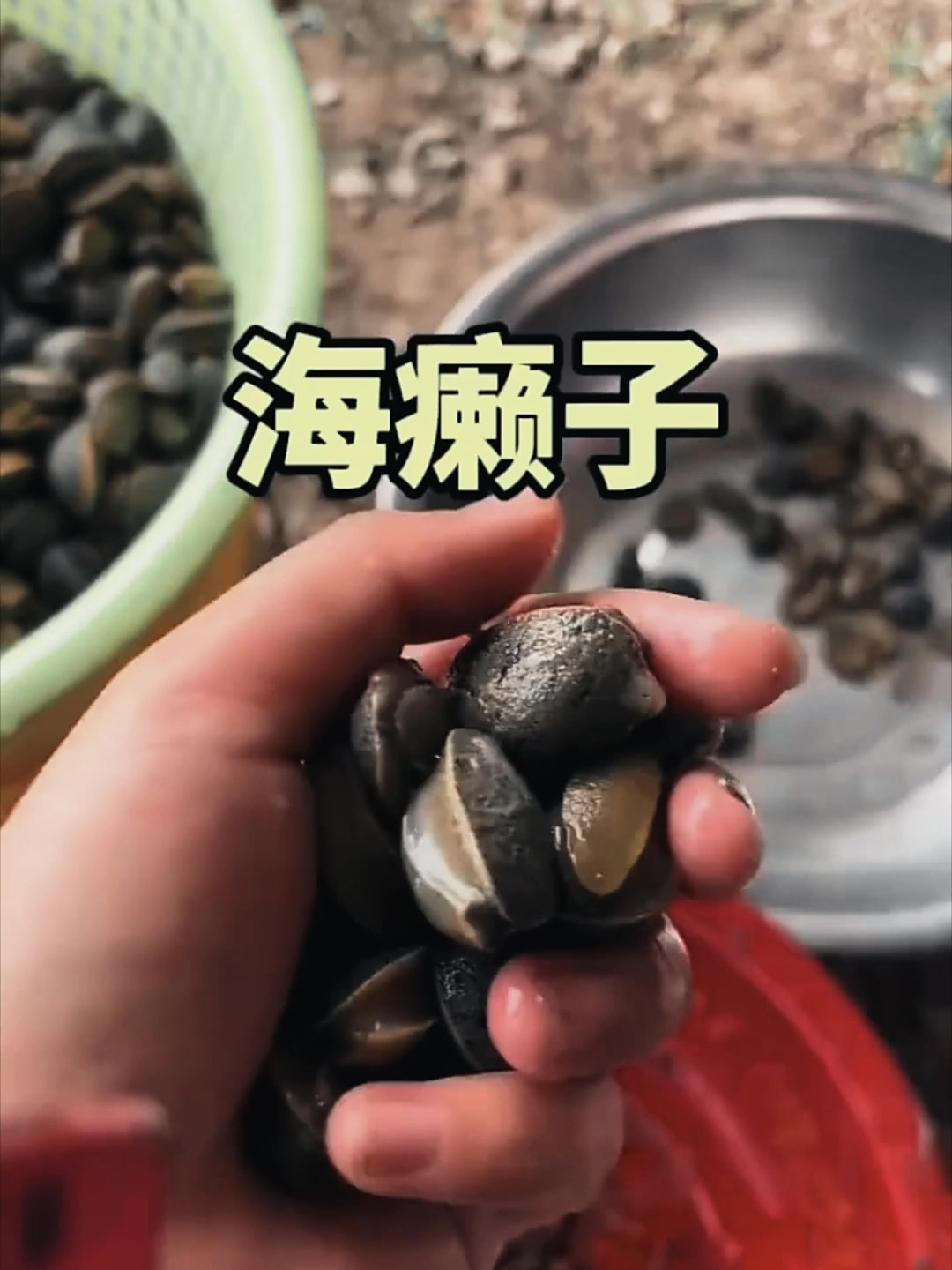 海边的土特产