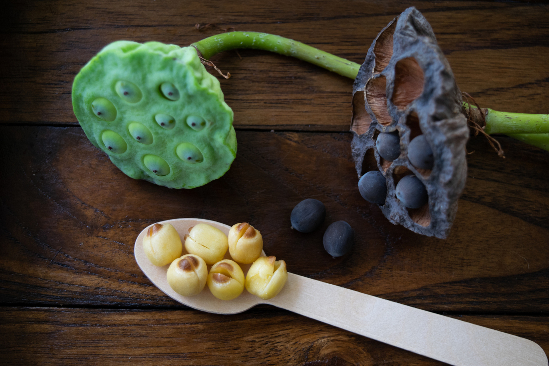 三焦不通如何调理?中医:莲子调上焦,陈皮理中焦,地黄养下焦