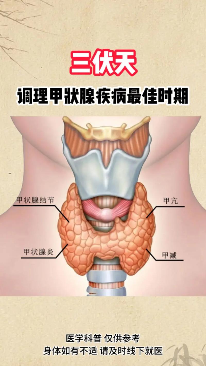 越来越多人查出甲状腺问题,是熬夜,压力大导致的?
