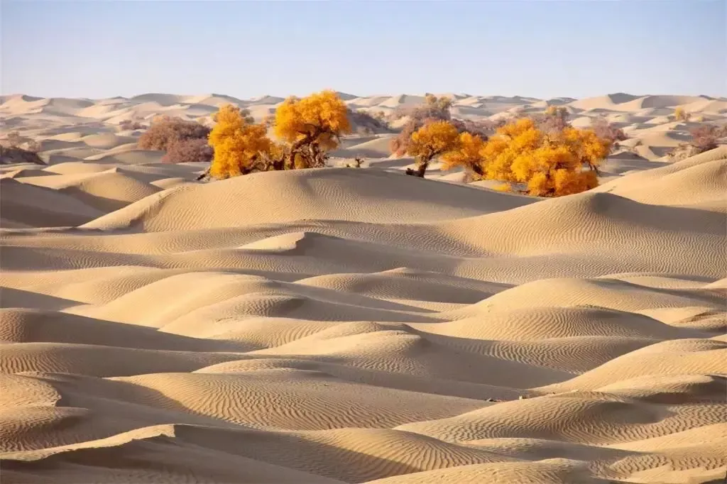 中国沙漠面积约占我国陆地面积的13%,主要