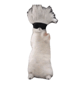 无字透明底小动物透明底表情包