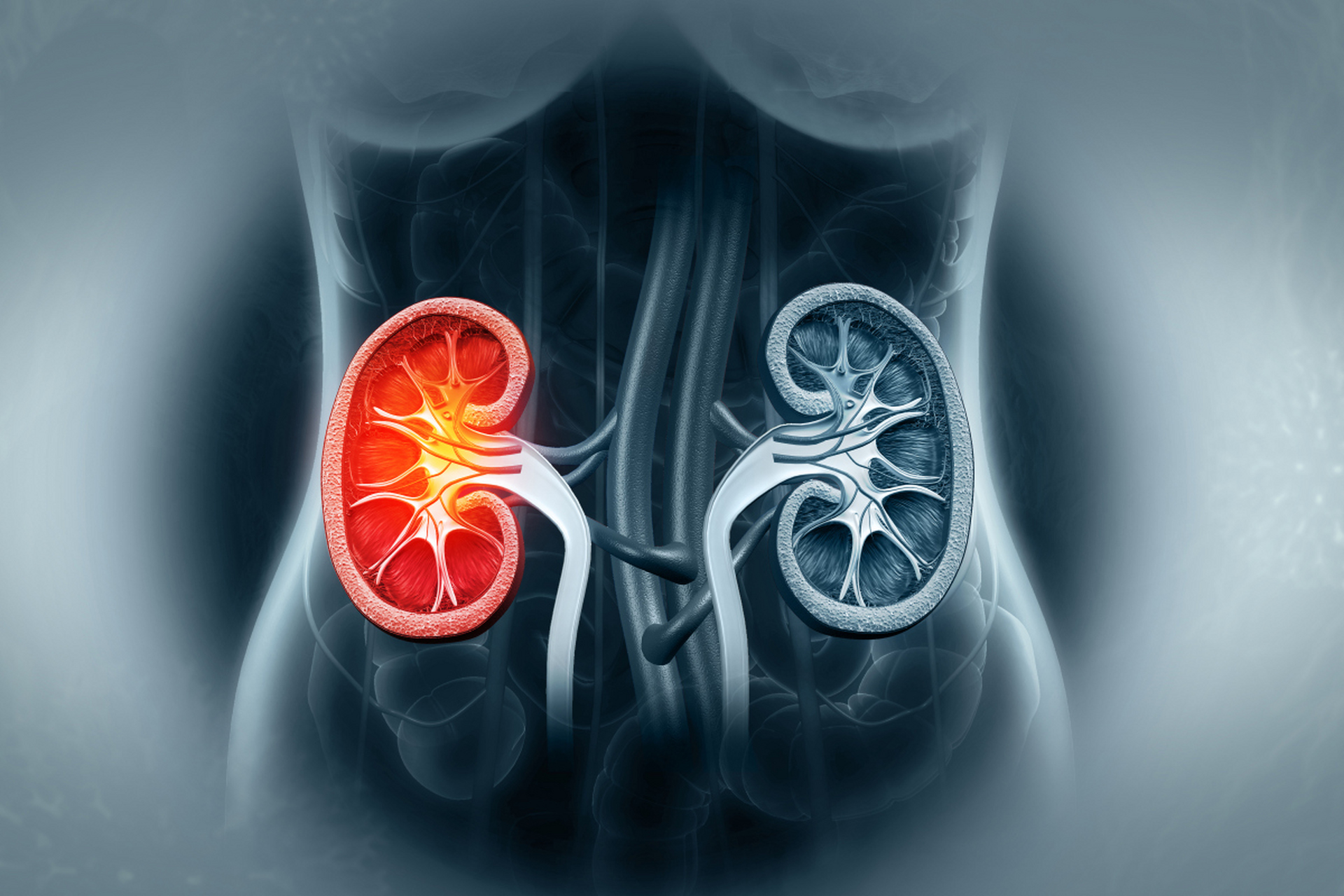 部分坚果摄入需适量,医生:过量食用,或影响脏器健康