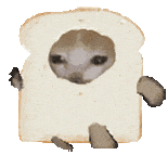 无字透明底小动物透明底表情包