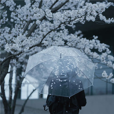 雨中撑伞女生头像真人图片