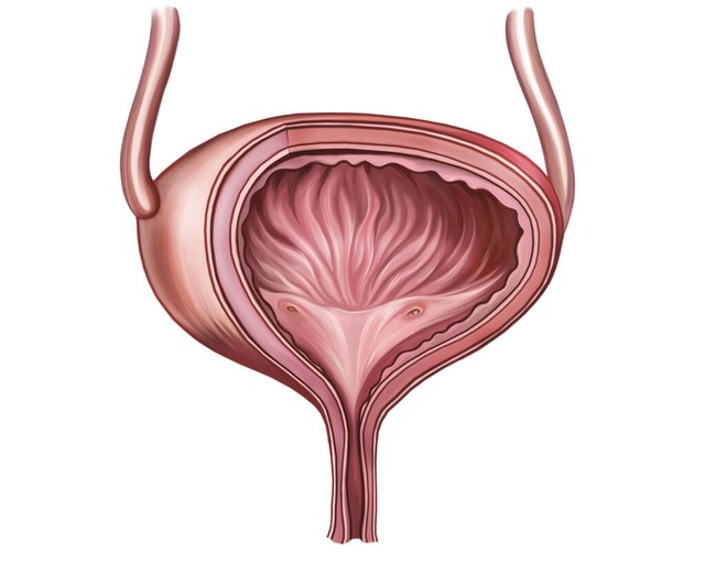 尿急,尿频,晚上老起夜