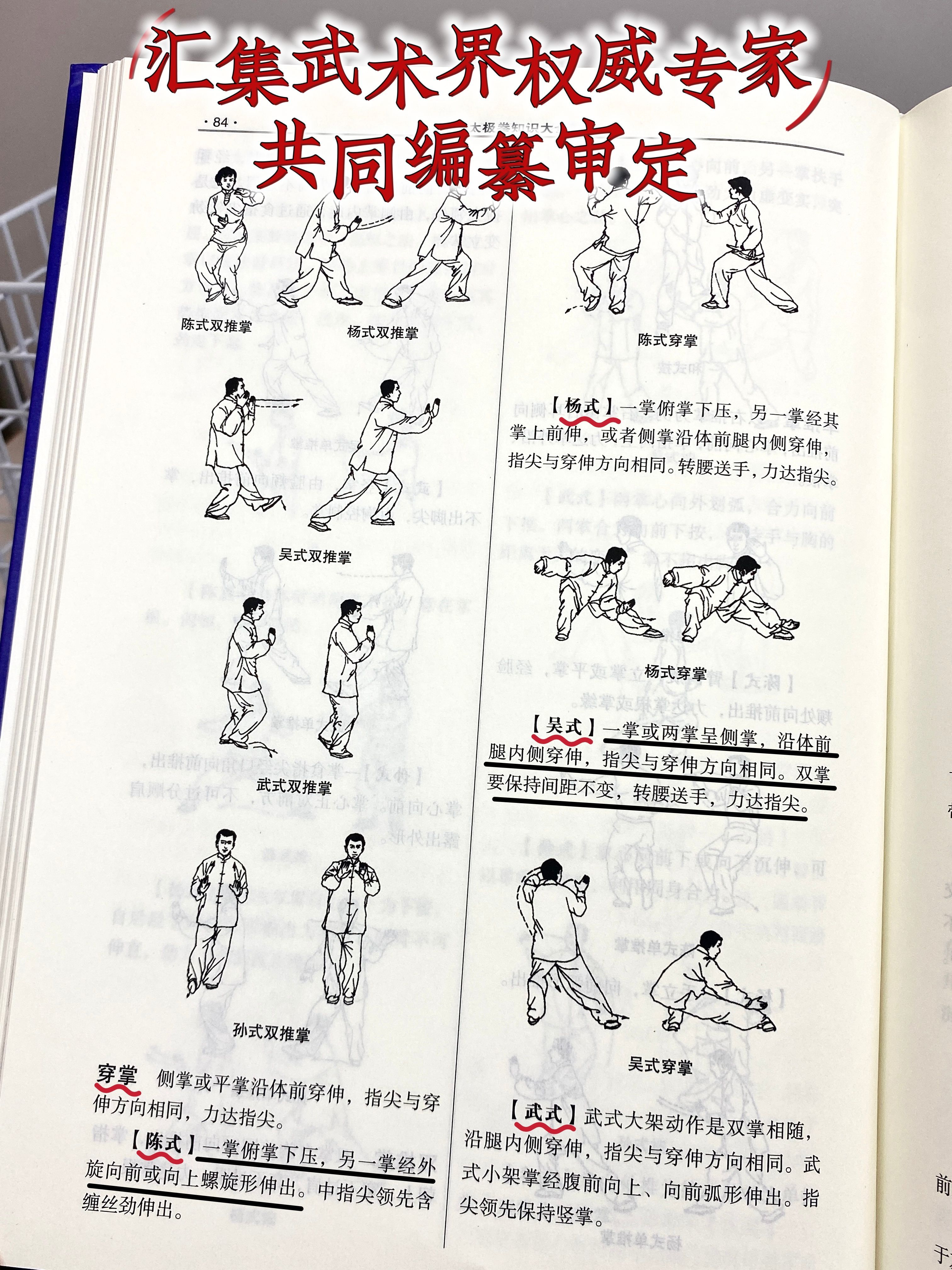 养生太极掌二套背向演练(养生掌第二套背向口令分解)