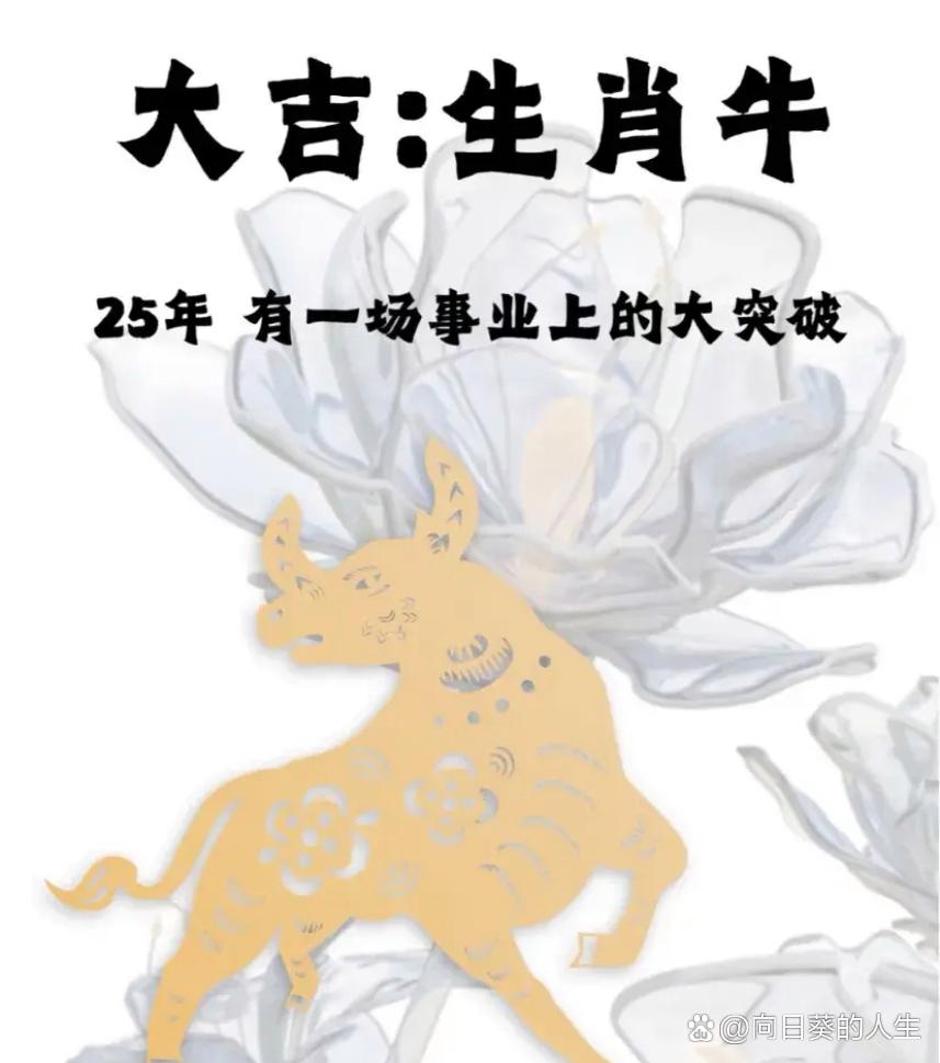 壬子年生肖男牛年运势(壬子年怎么样)