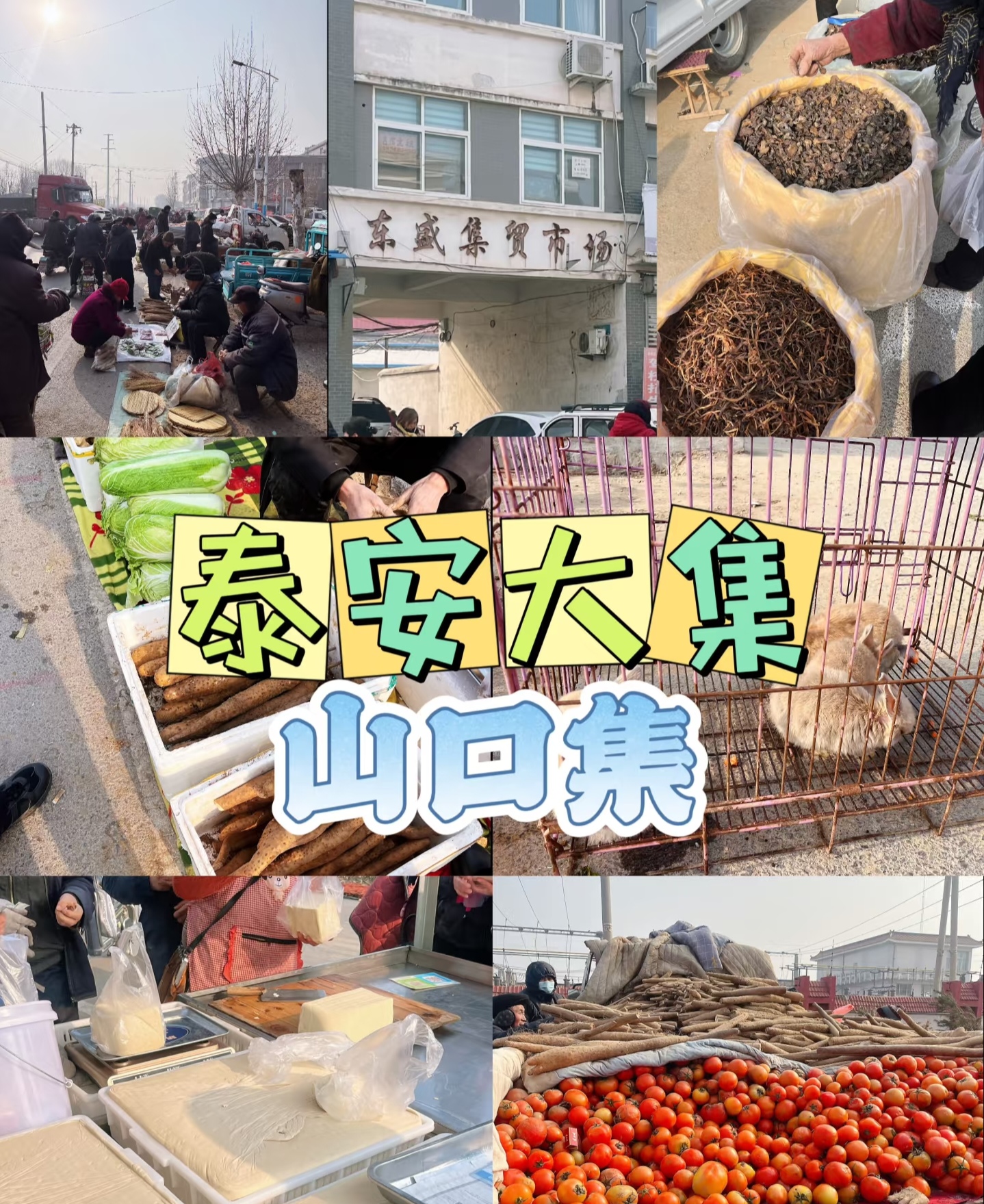 山口大集位于泰安市岱岳区山口镇,这里历史悠久,早在清乾隆年间就有