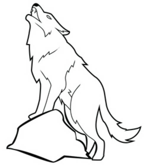 怎么画狼简笔画呢