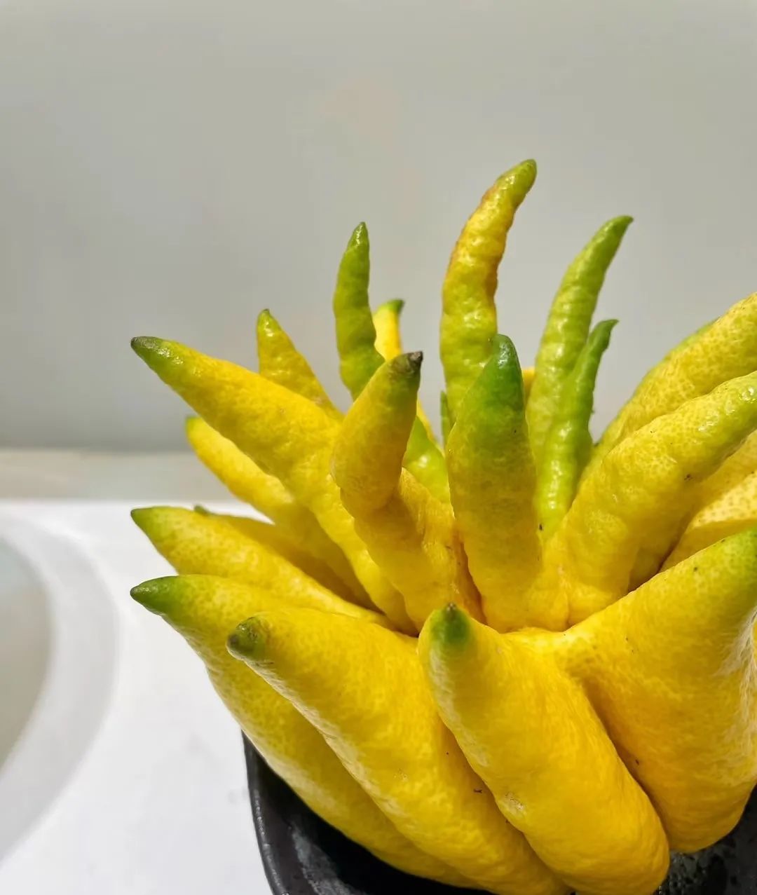 山东43岁太太的佛手,因为"太精致"而走红,网友:这谁舍得摘?