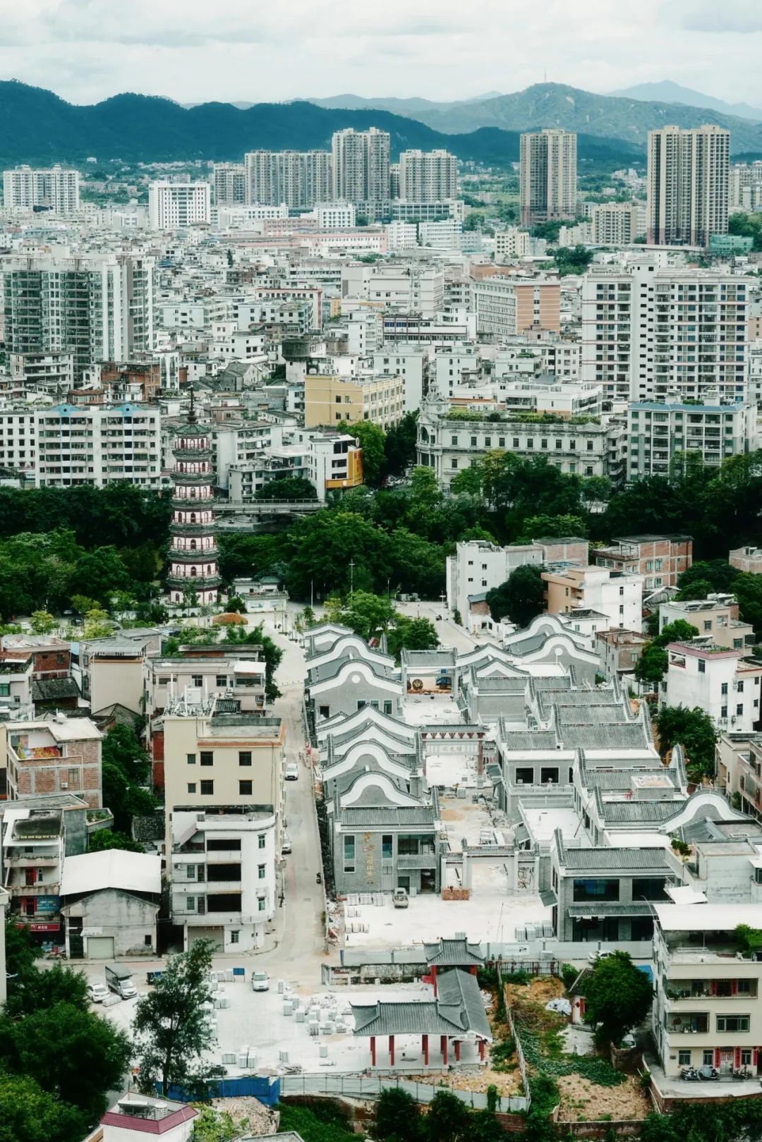 这操作简直刷新我的认知广东省云浮市罗定市云浮罗定双东街道氵战