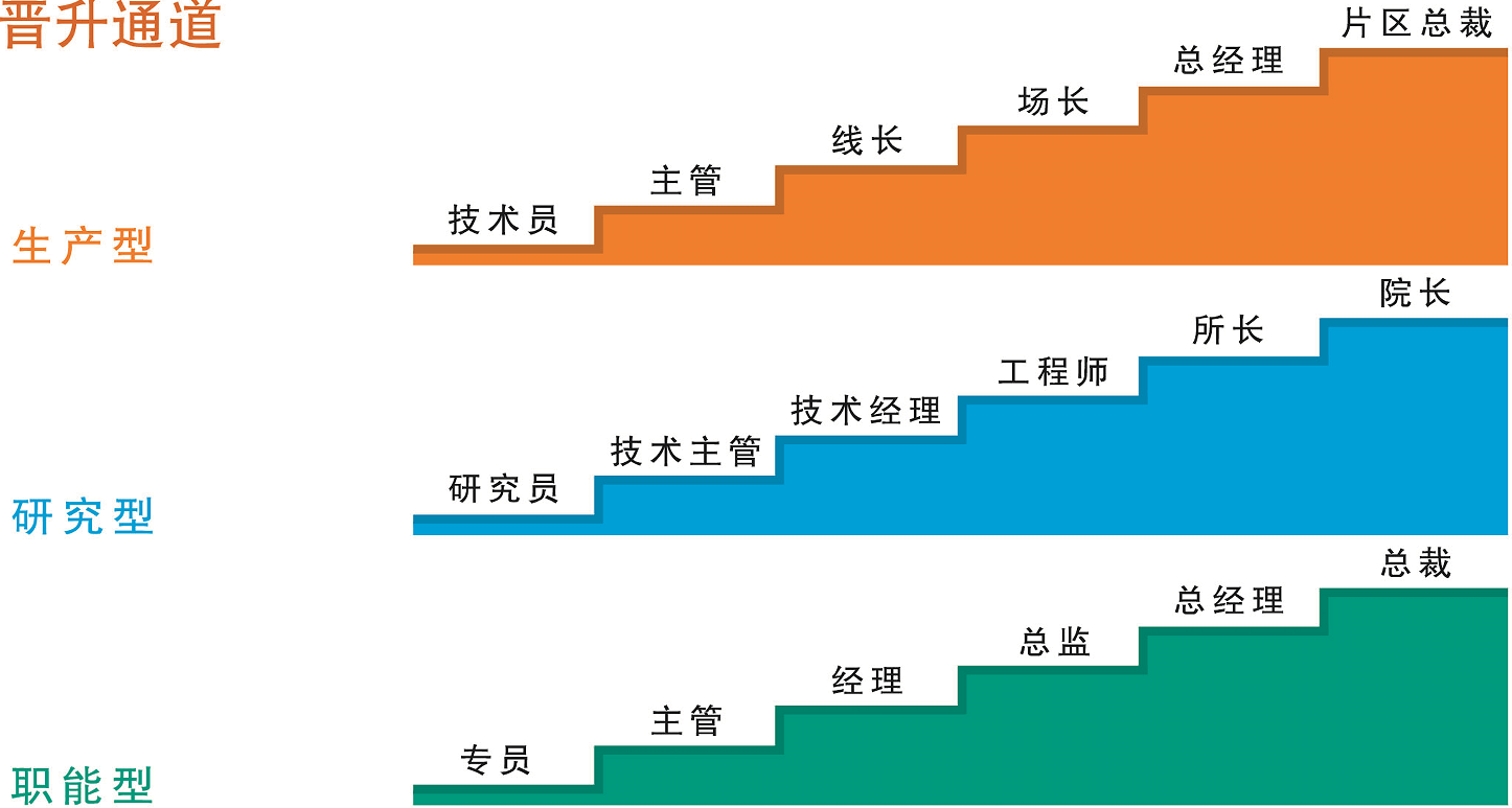 掌握这四条晋升路径,助你在职场中步步高升