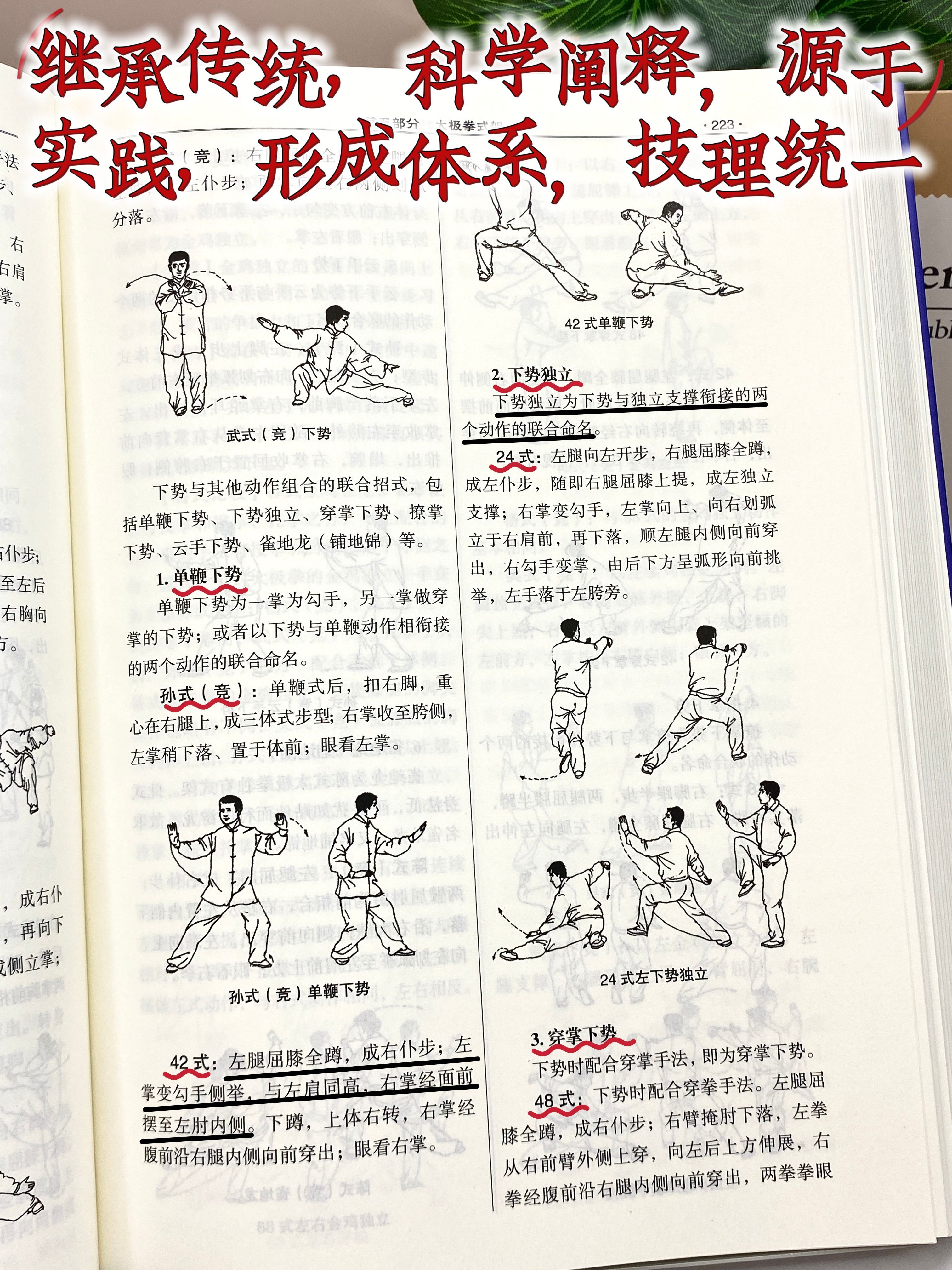 太极拳入门自学教程从零开始(太极拳入门自学教程从零开始背面)