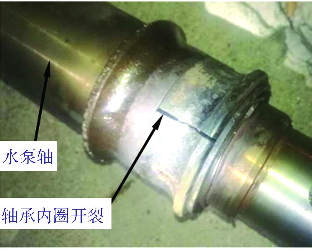 调温水泵轴承开裂失效分析
