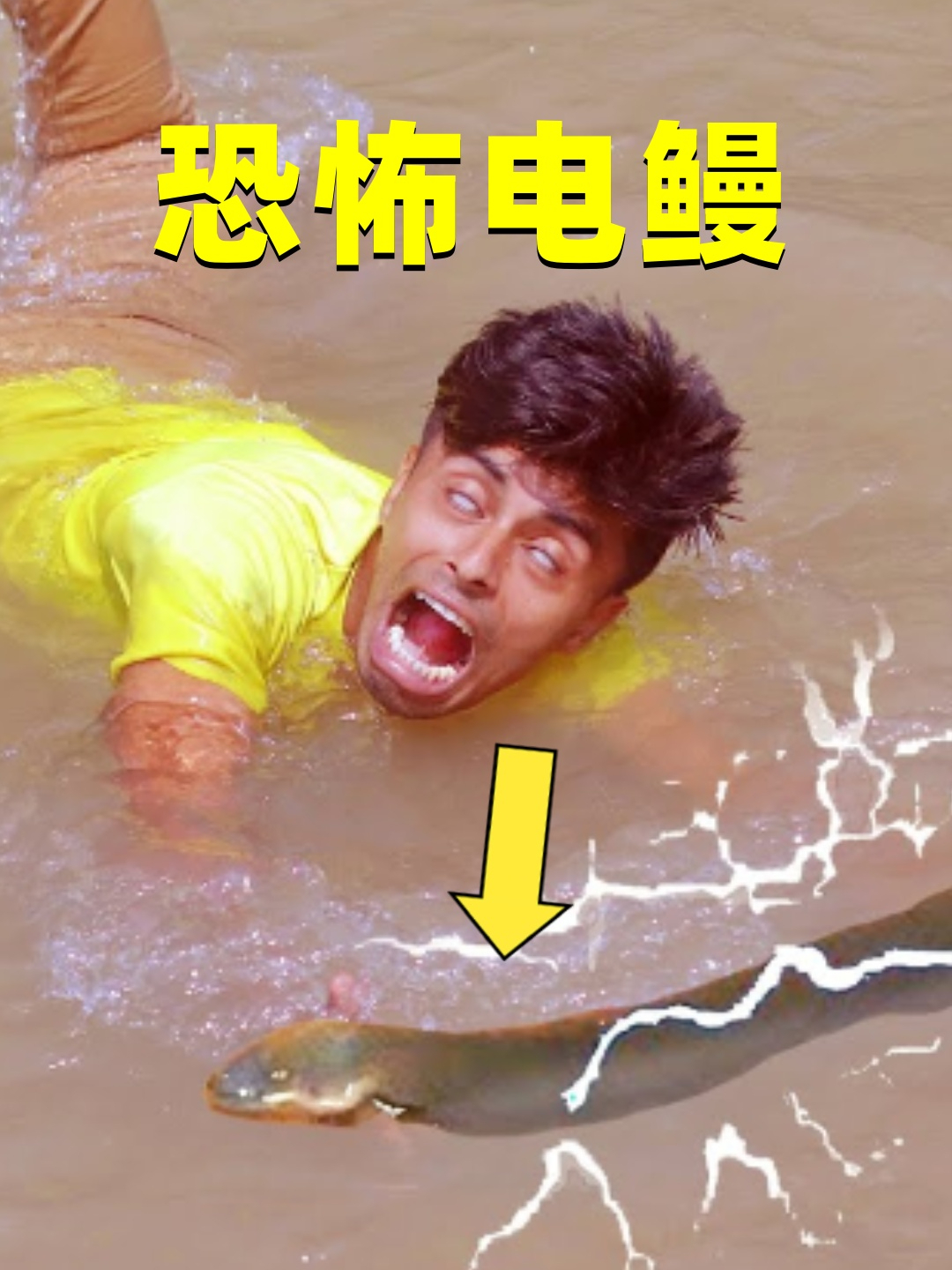 电鳗到底有多恐怖?能释放800v电压,瞬间将人电晕