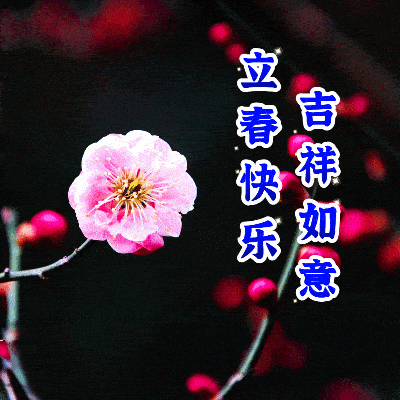 最新初六立春问候图片,每日早安吉祥晨语,今日立春,春暖花开