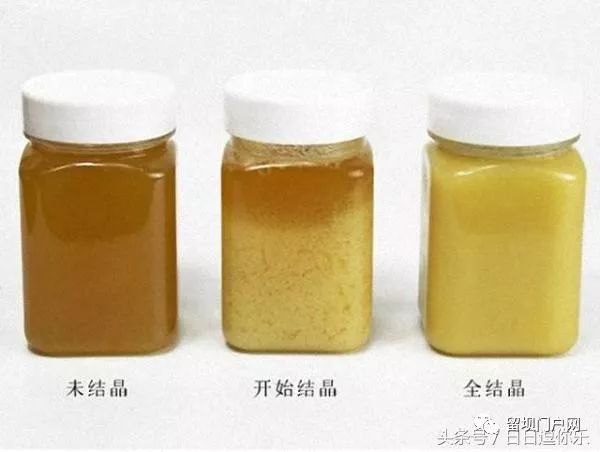 蜂蜜真假识别图片(蜂蜜真假鉴别科学方法) 蜂蜜真假识别图片(蜂蜜真假鉴别科学方法)