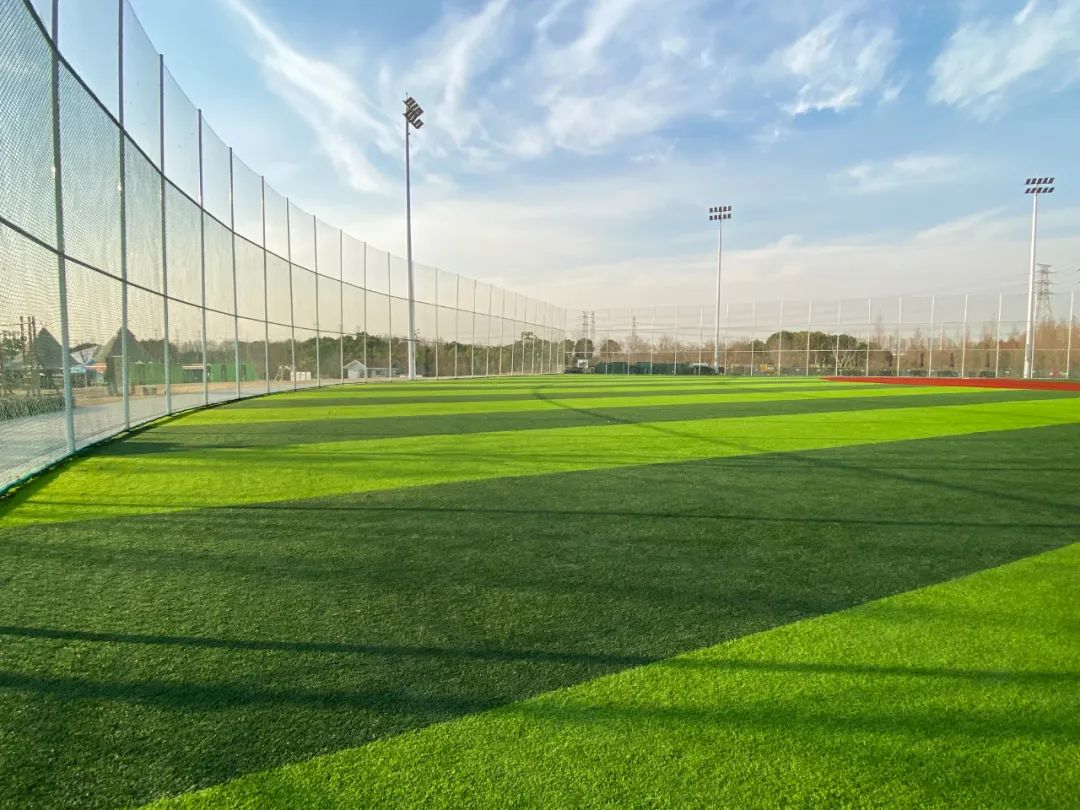 傲胜案例|伫立在上海的"天然氧吧",尽享棒球欢乐时光!