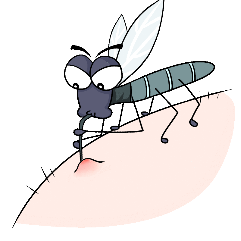 蚊子退退退!史上最全驱蚊秘籍大公开