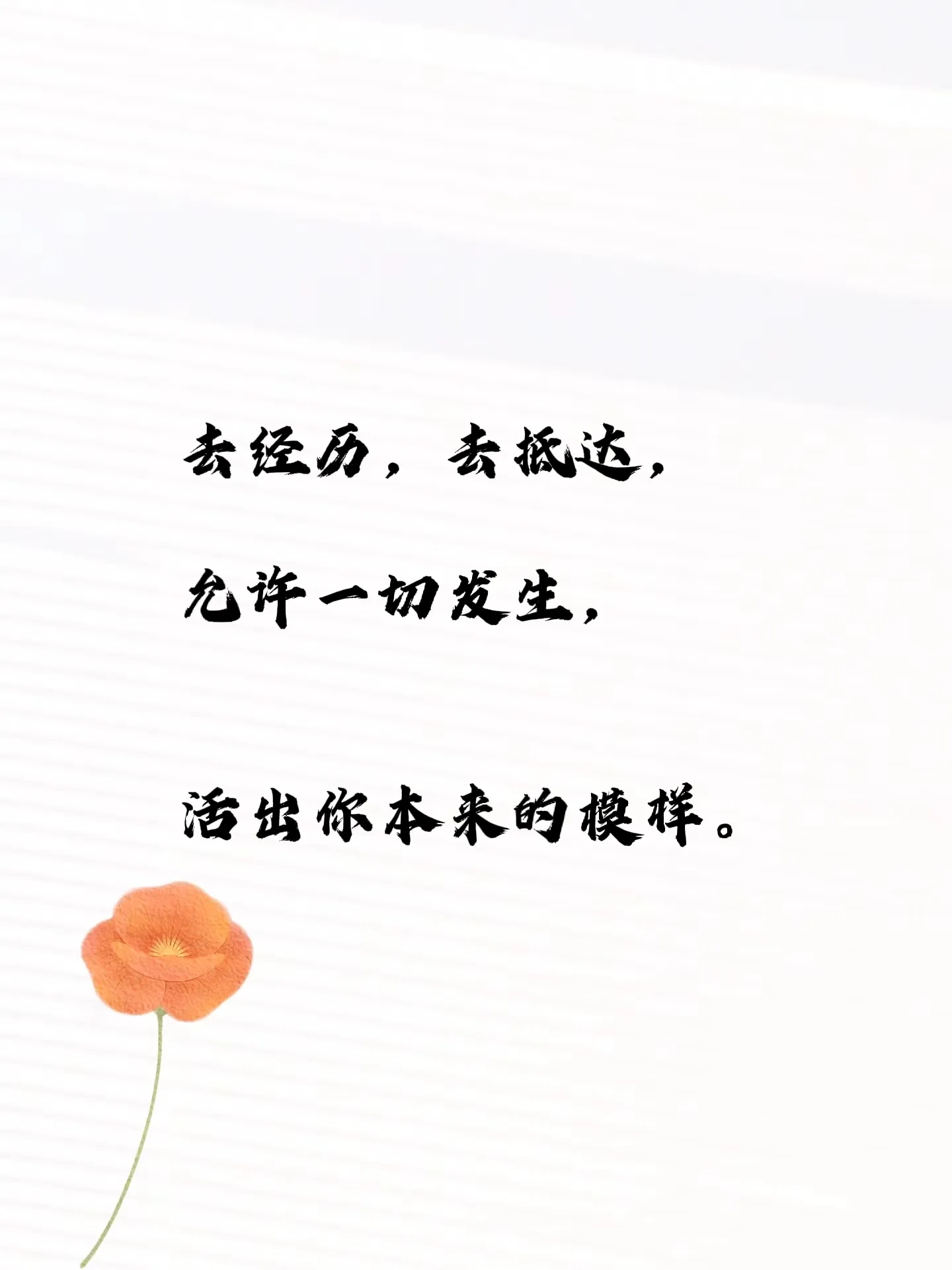 心静不下来的时候, 不妨有感情的读一段文字, 读着读着你心情会舒畅